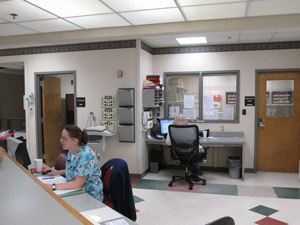 Emergency Department